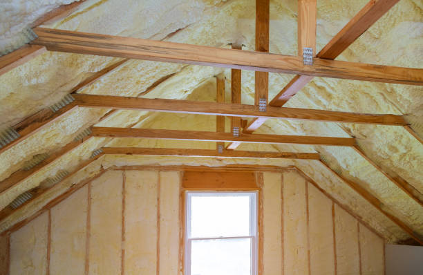 Best Insulation Contractor Near Me  in Los Alamos, NM