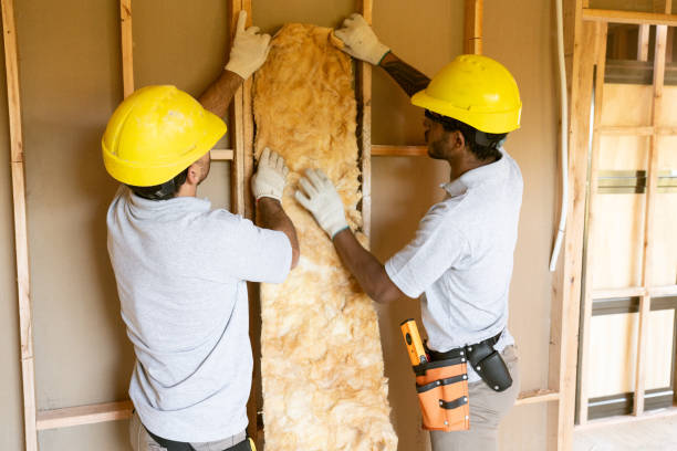 Best Soundproof Insulation Installation  in Los Alamos, NM